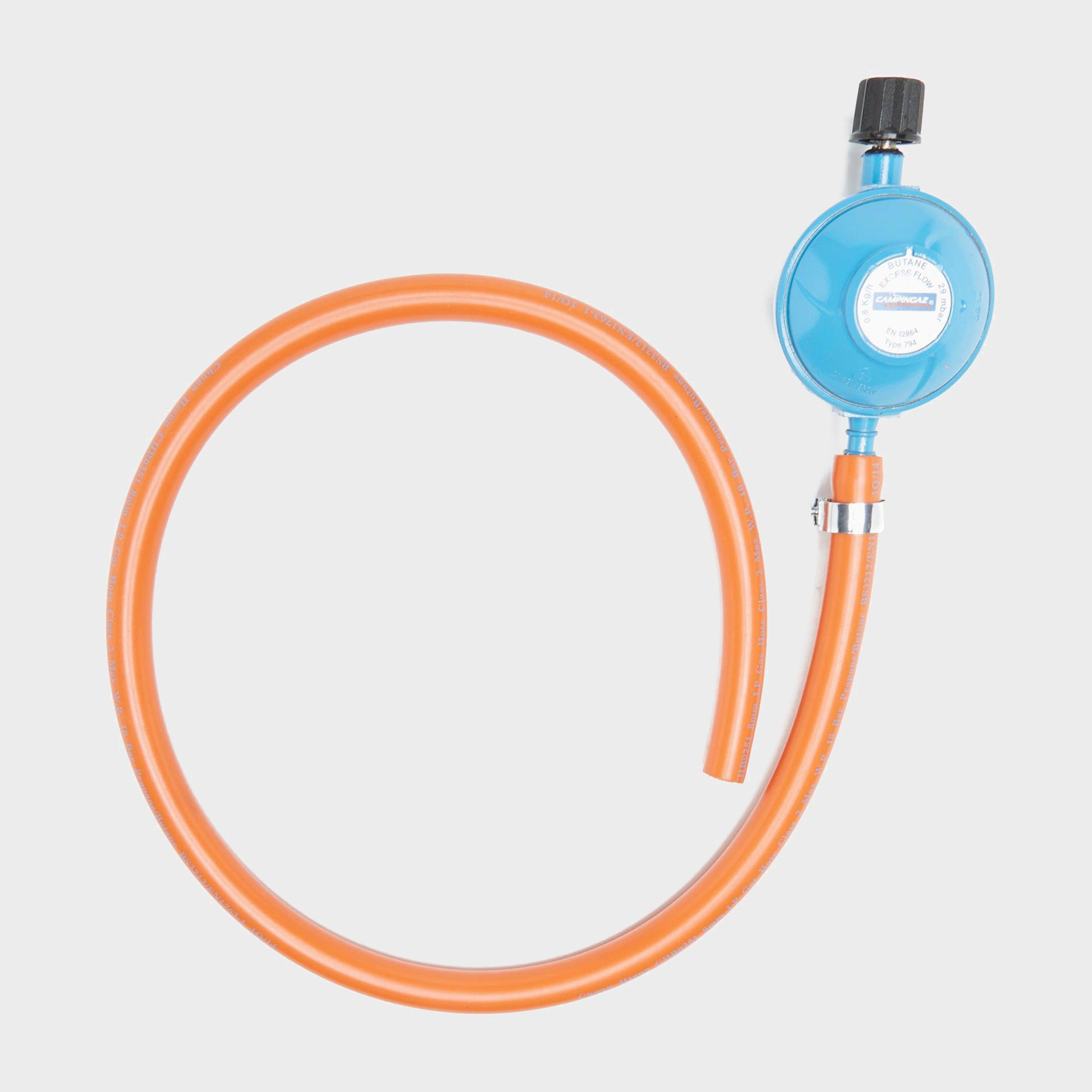 Gas Hose & Regulator Kit