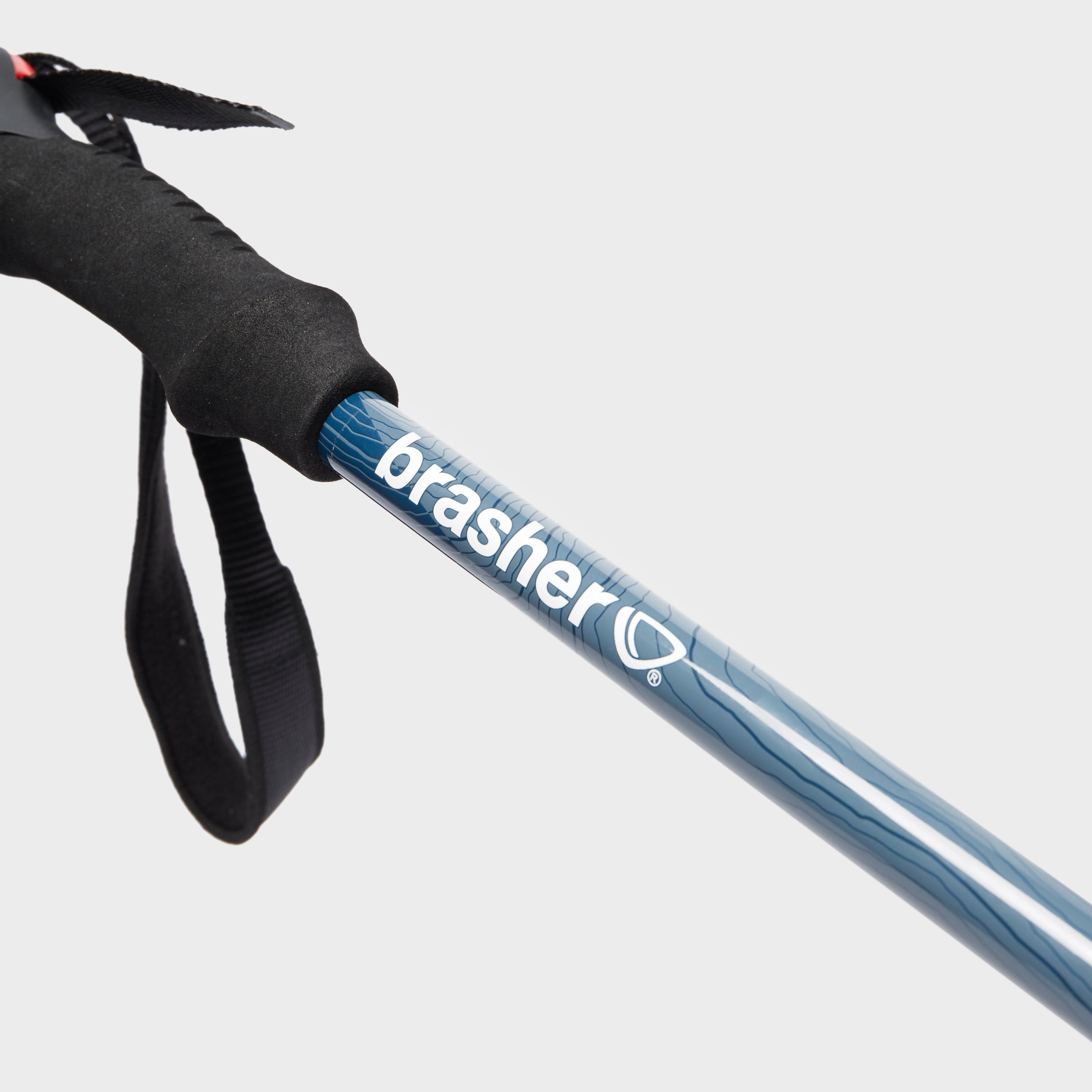 Country Traveller Walking Pole