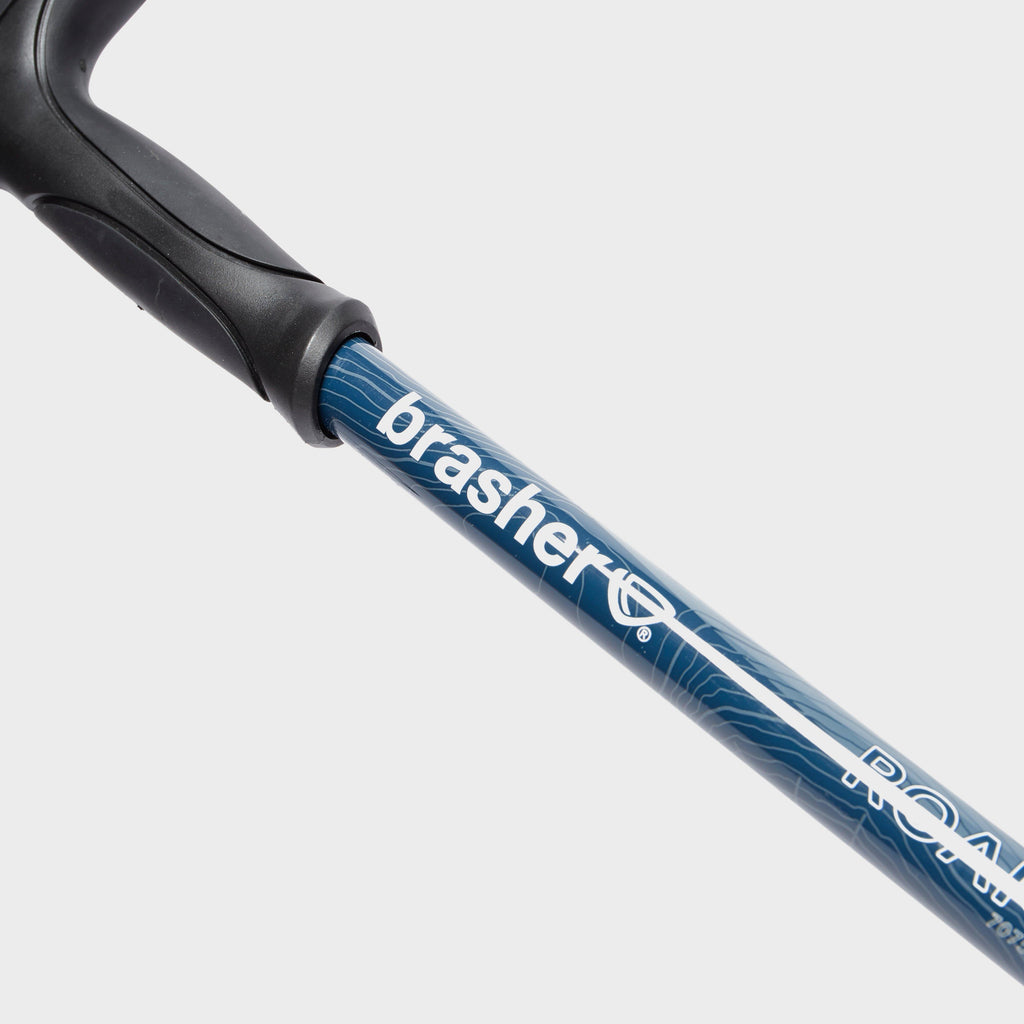 Country Roamer Walking Pole