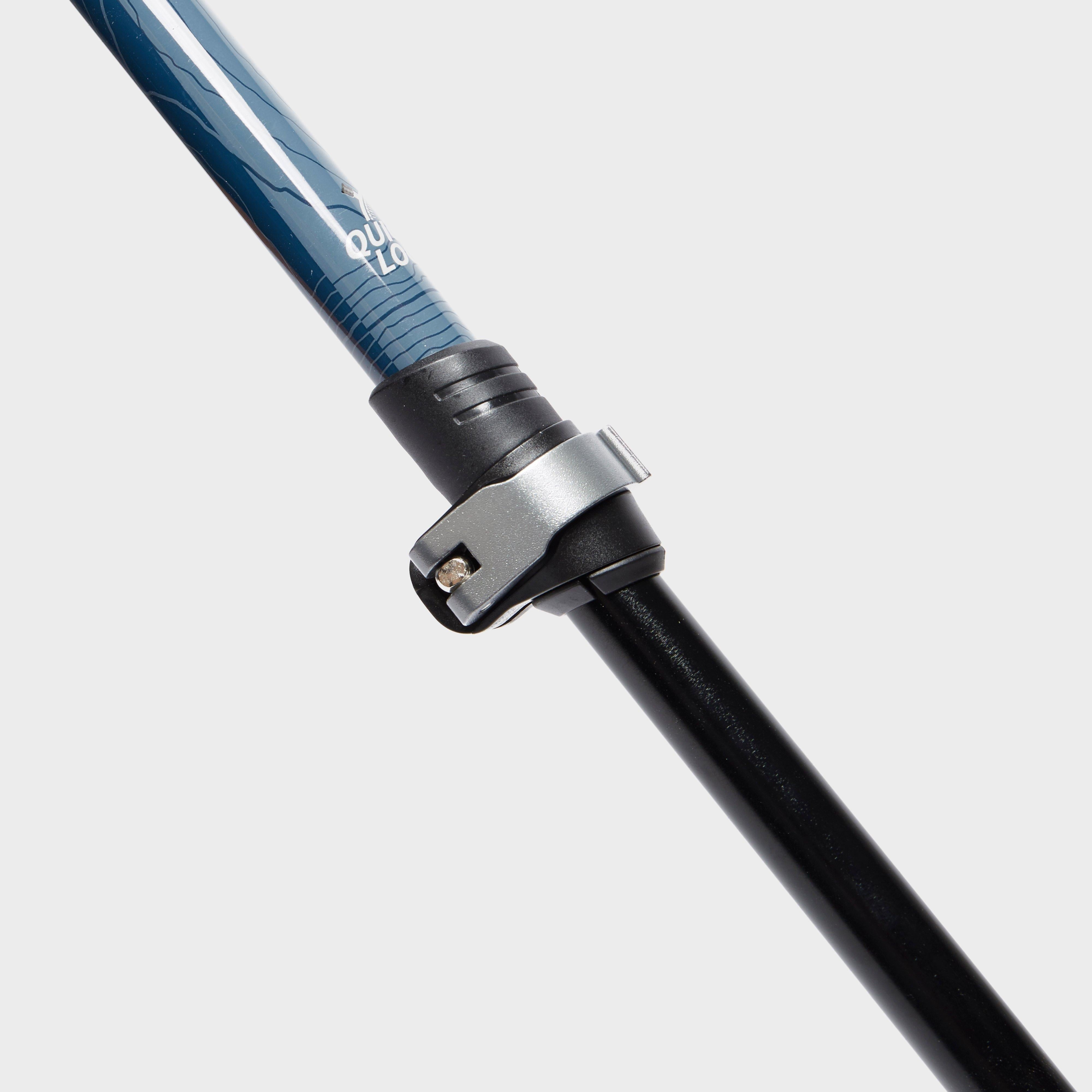 Country Roamer Walking Pole