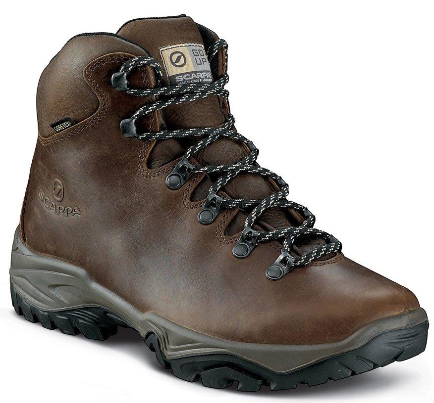 Men's Terra GTX Walking Boots