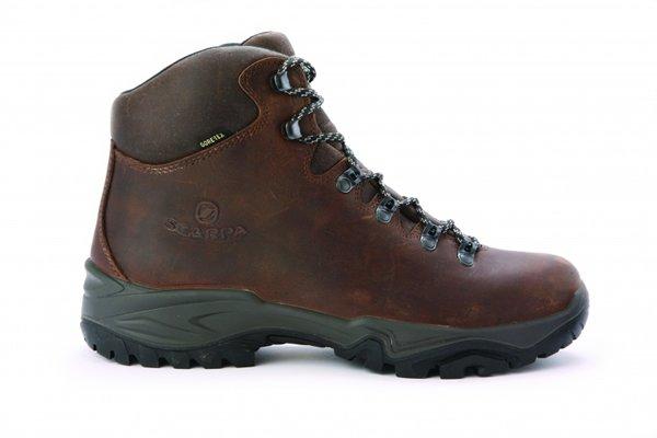 Men's Terra GTX Walking Boots