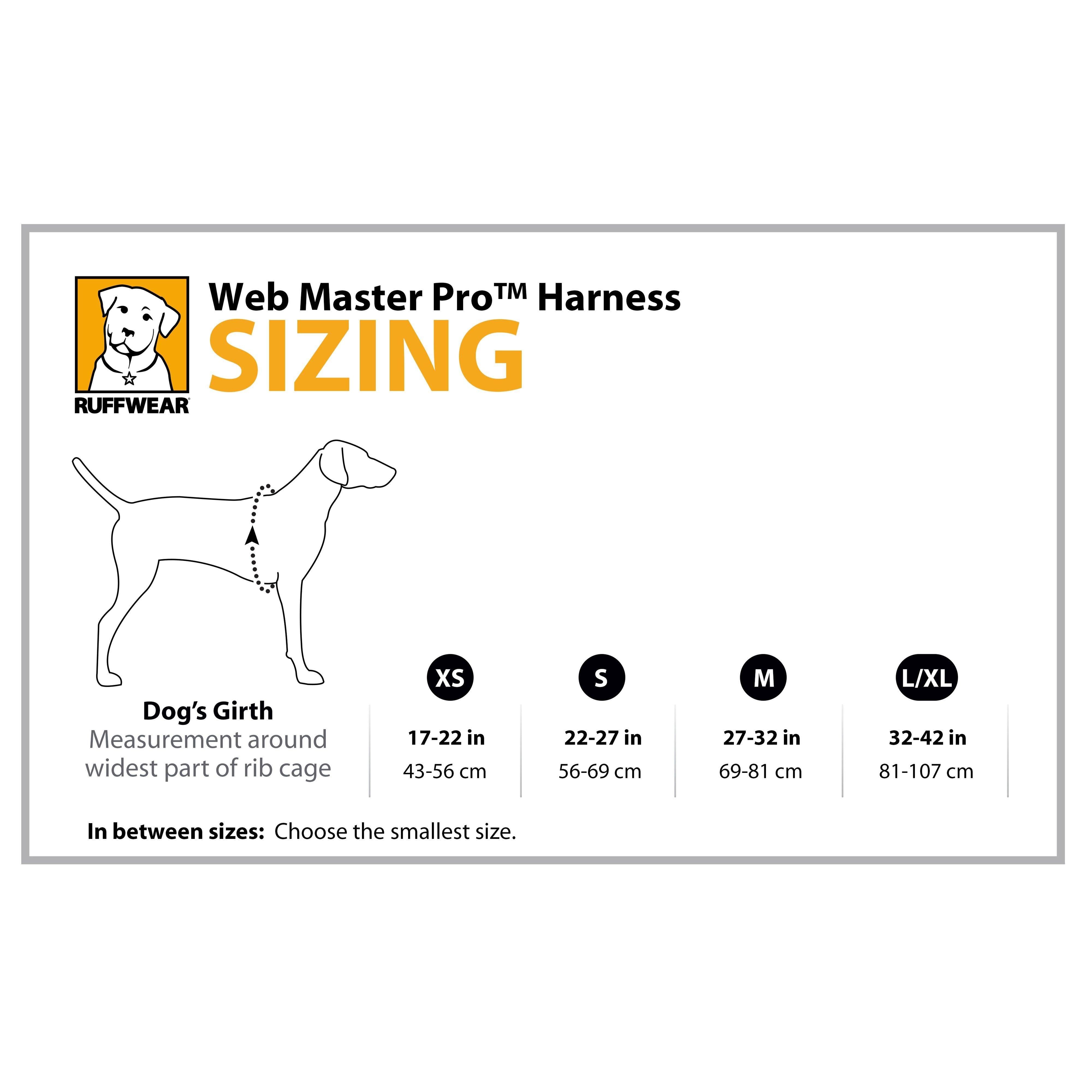 Webmaster™ Pro Harness