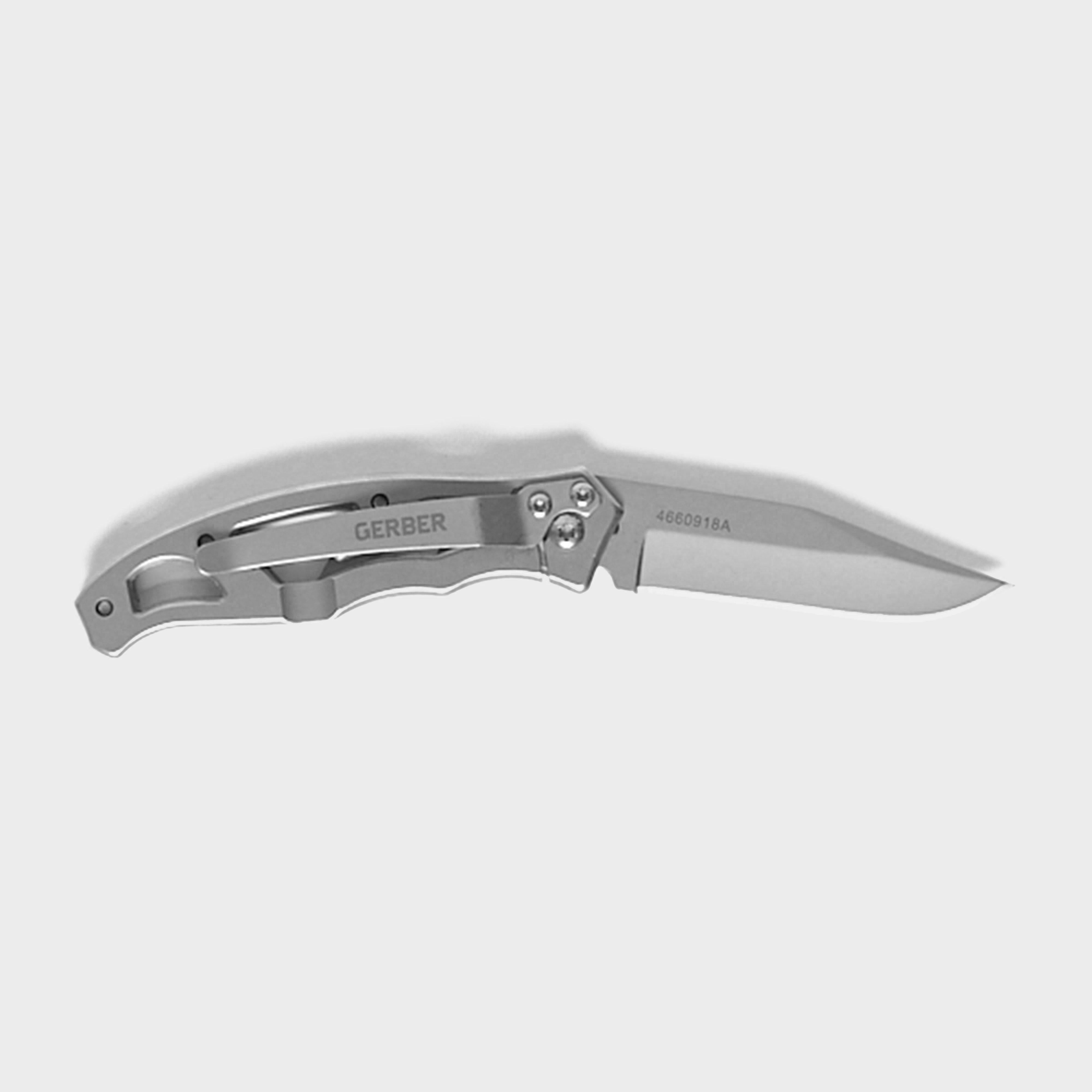 Paraframe Mini Folding Clip Knife