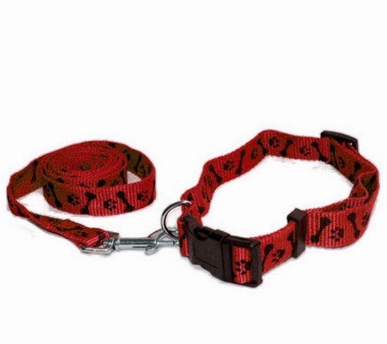 Dog Lead and collar