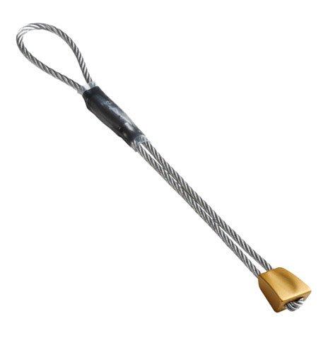 Wallnut 4