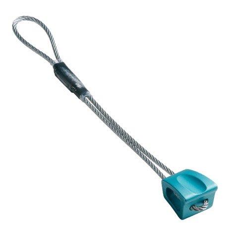 Wallnut 8