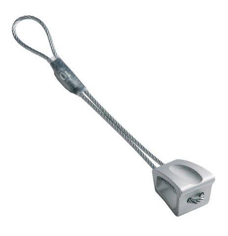 Wallnut 10