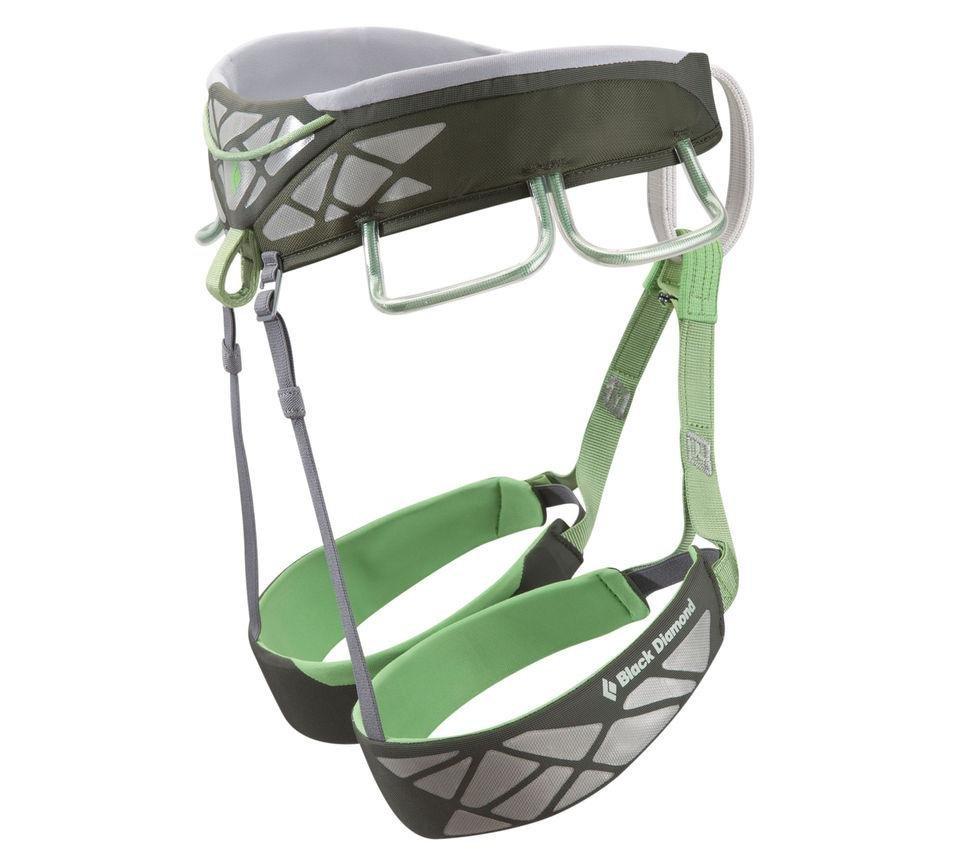 Focus Harness