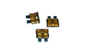 Fuse- 10 Amp