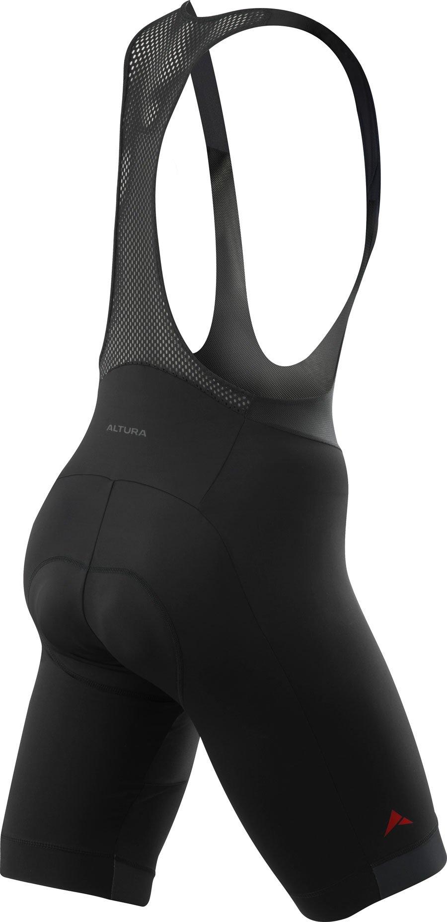 Men's Firestorm Bib Short