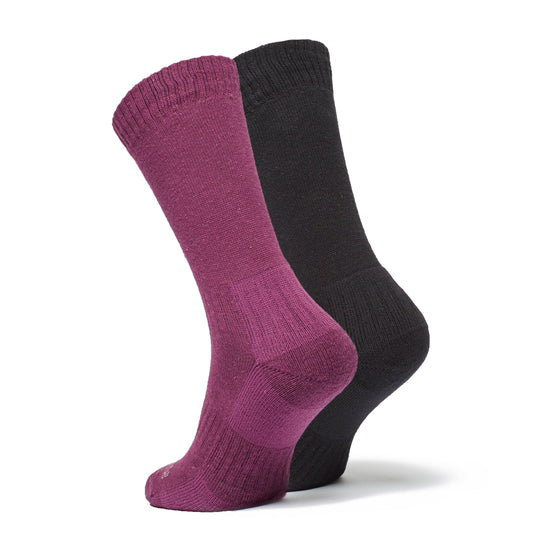 Women's Dingle Socks 2 Pack