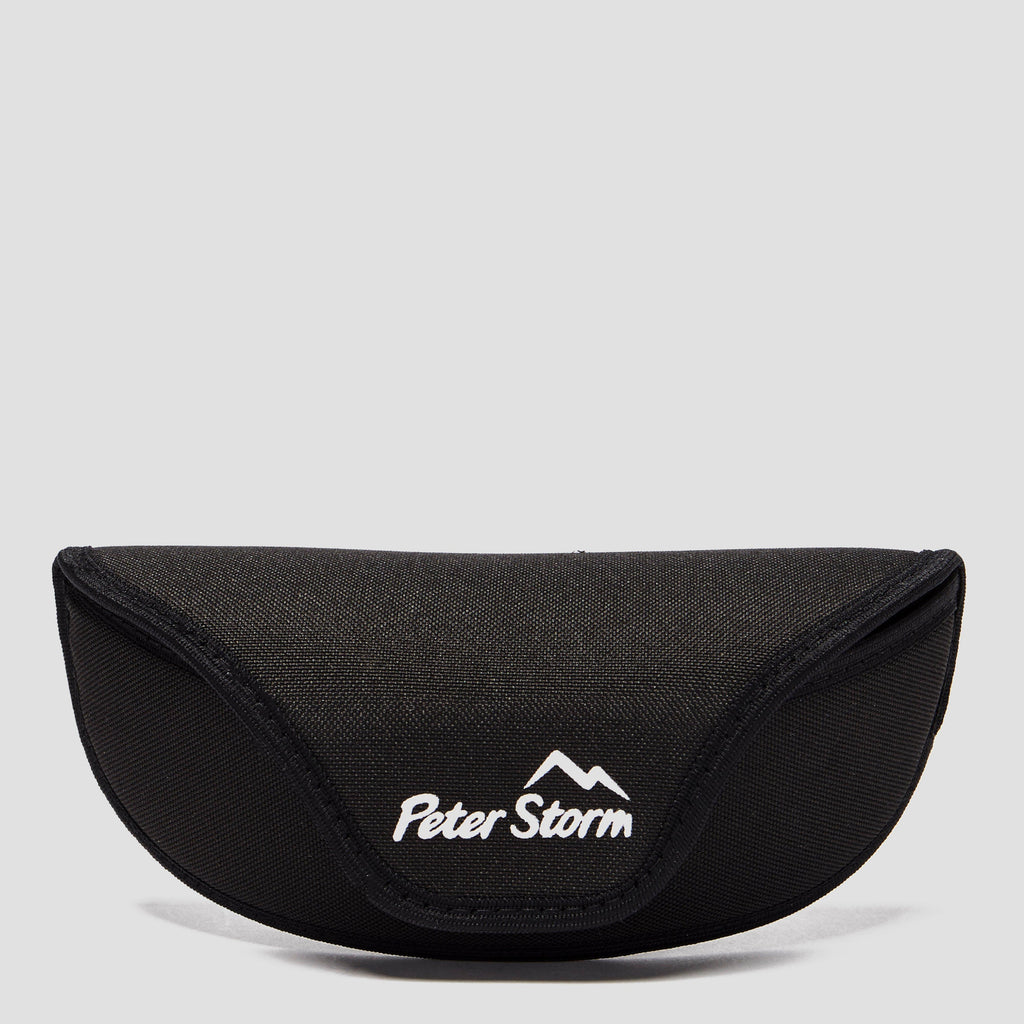 Men’s Wayfarer Sunglasses