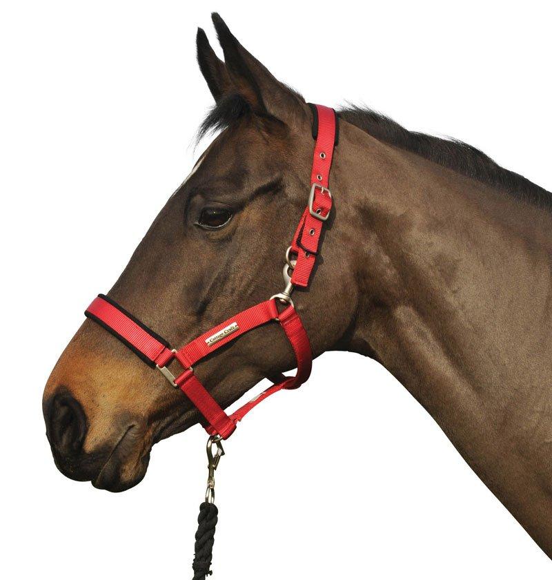 Field Safe Head Collar