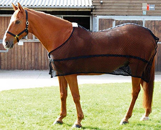 Lambourne Anti Sweat Rug