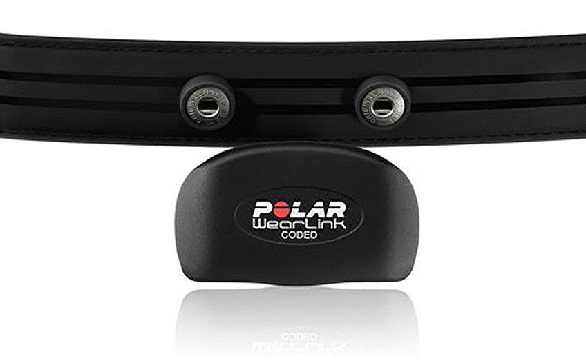 WearLink®+ Transmitter Belt