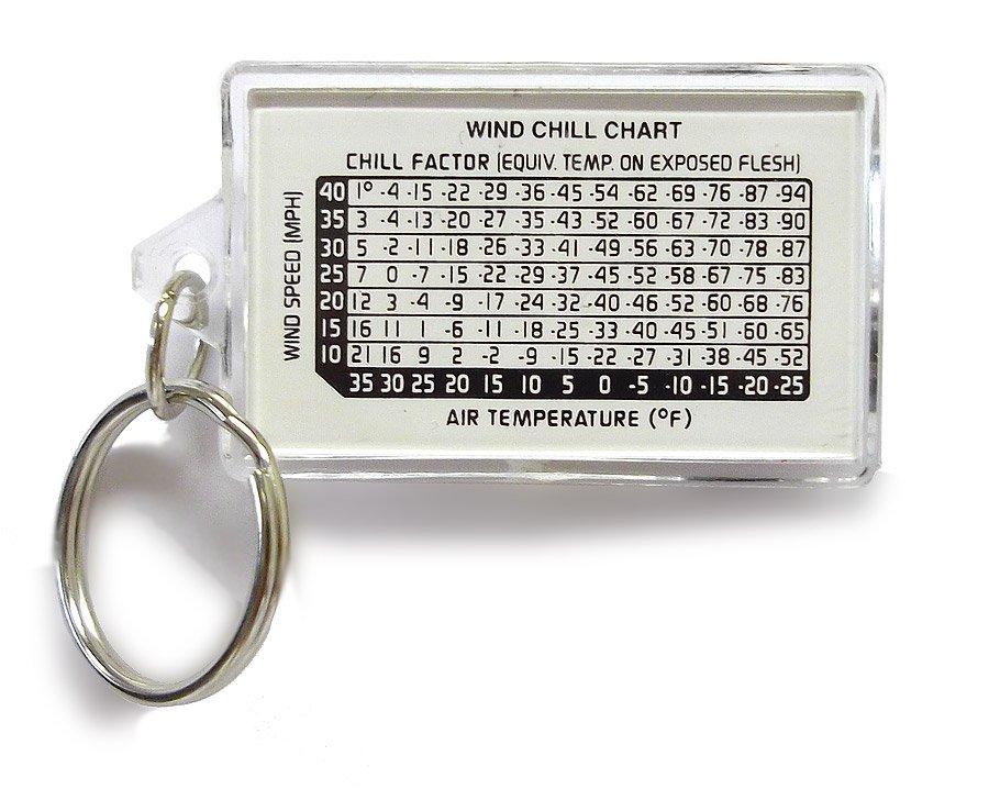 Keychain Thermometer/Compass