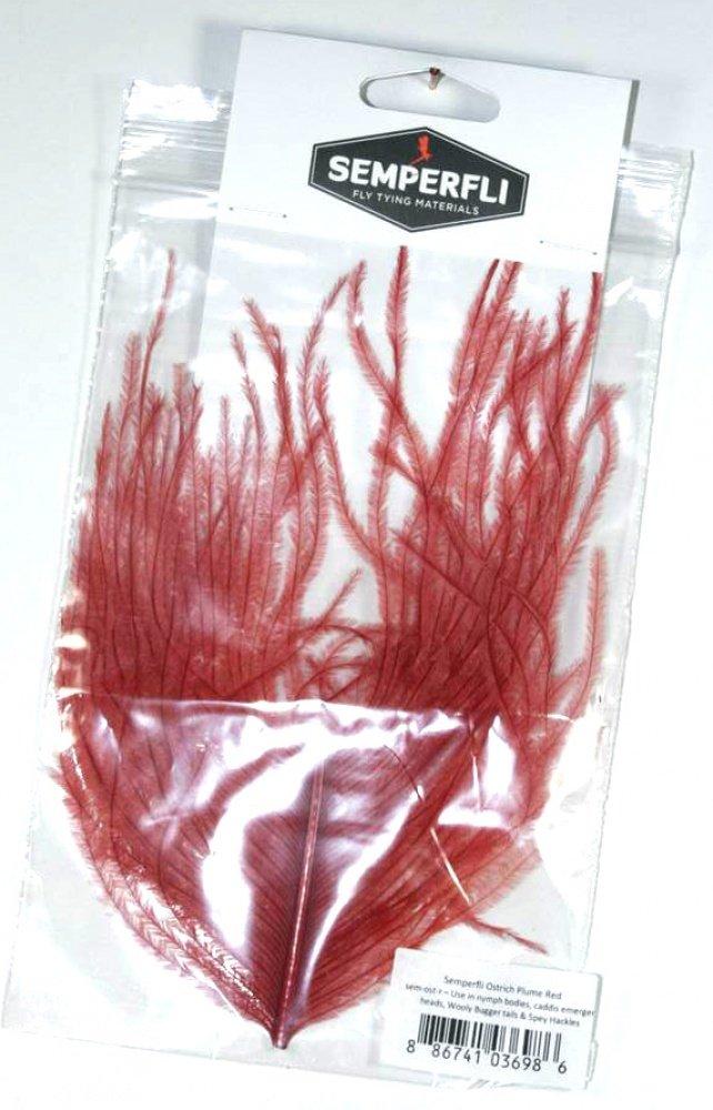 Ostrich Plume Orange