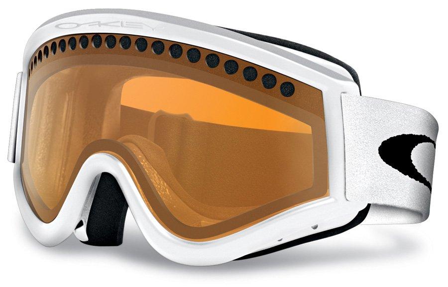 E-FRAME GOGGLE [PERSIMMON]