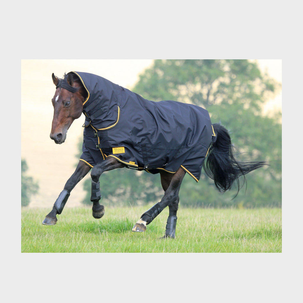 Tempest Original 100 Combo Turnout Rug