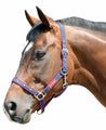 Galaxy Headcollar
