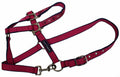 Galaxy Headcollar