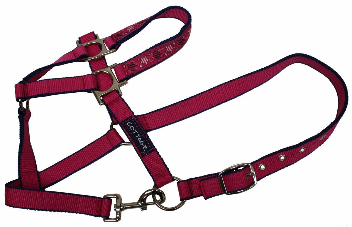 Galaxy Headcollar
