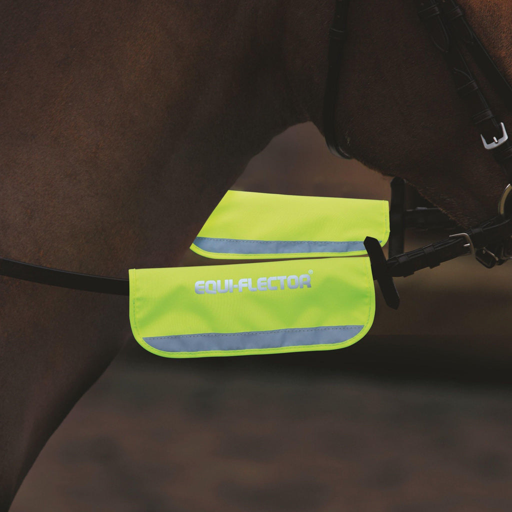 Bridle Bands