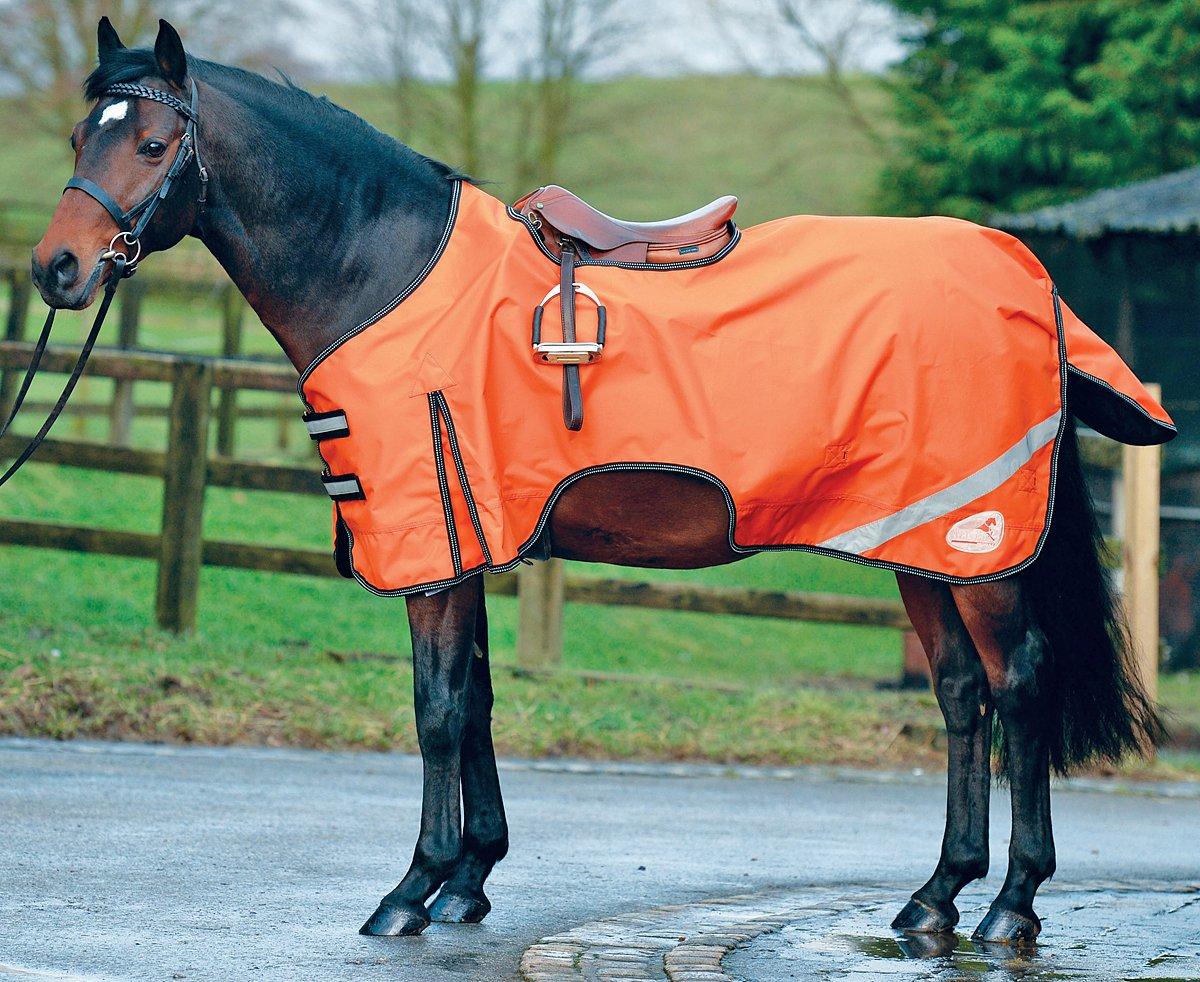 Exercise Rug