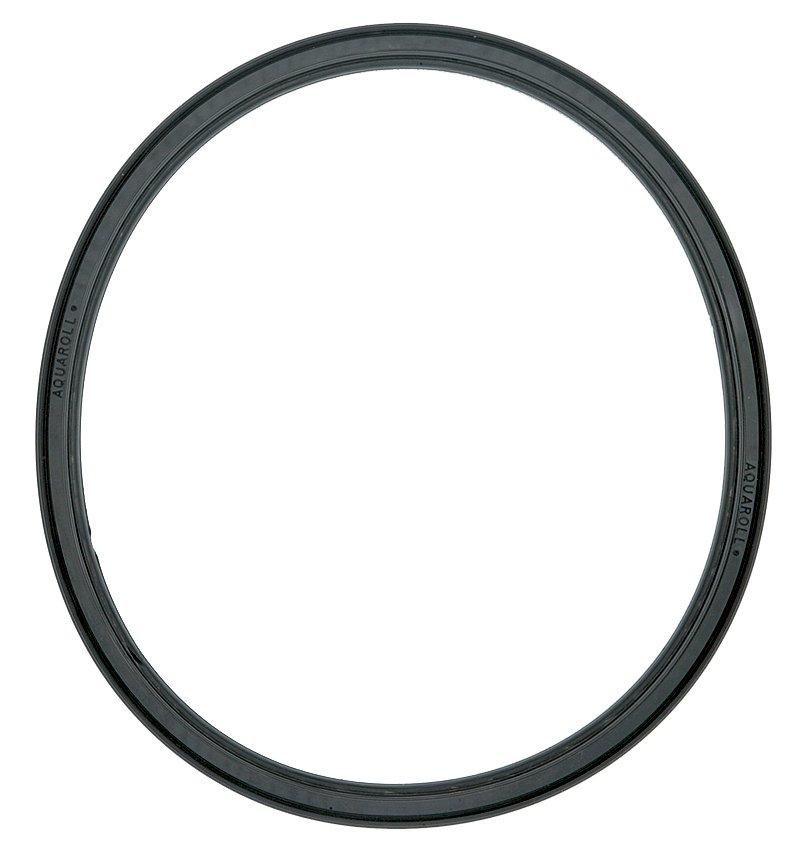 Spare Tyre (for Aquaroll 40L)