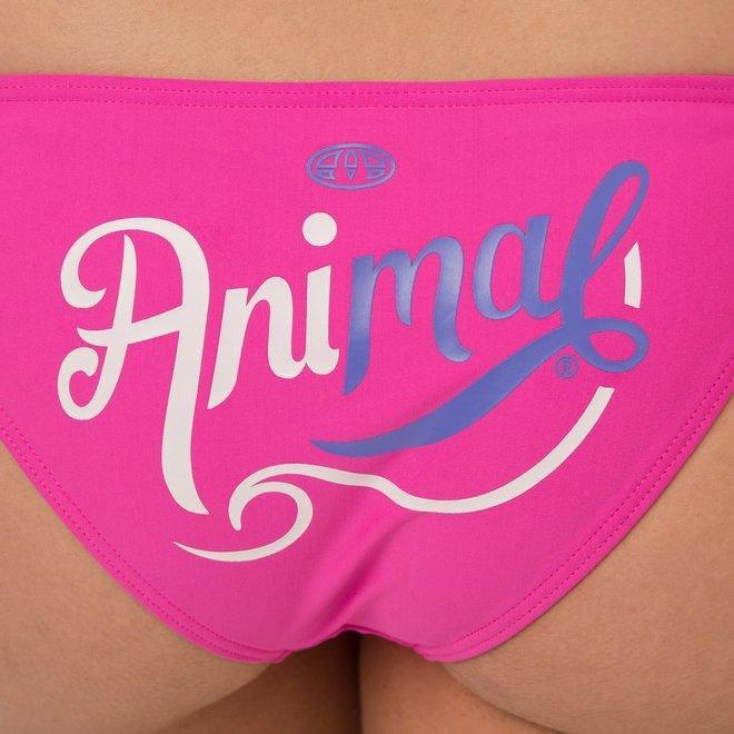 Paislee Women's Bikini