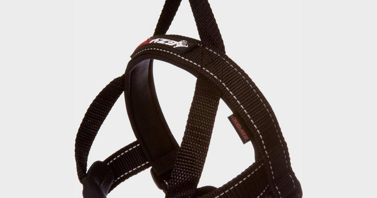 Black EzyDog Ezy-Dog-Quick Fit Harness (S) – GO Outdoors