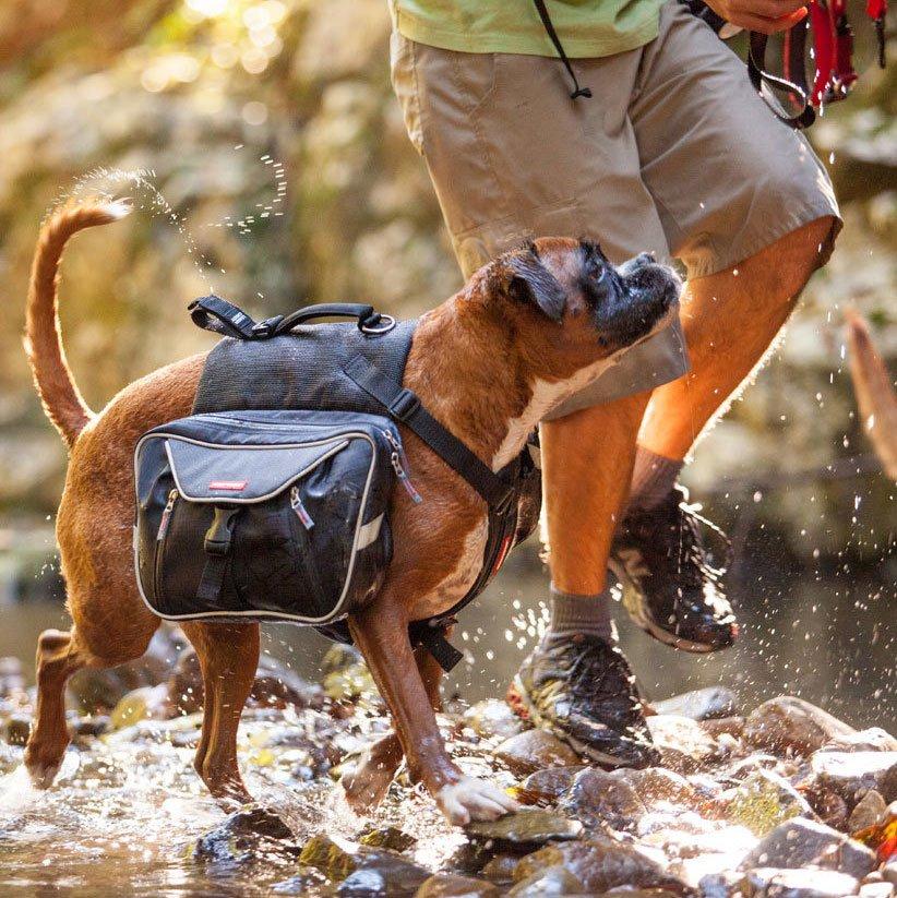Summit Dog Backpack (L)