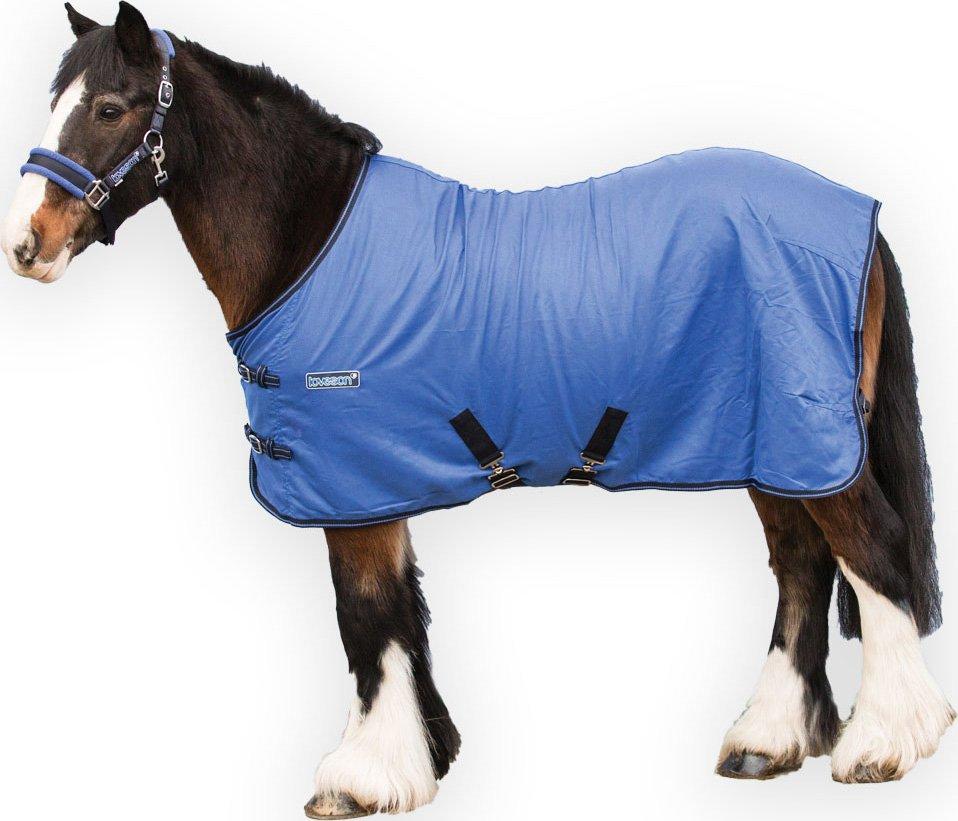 Summer Sheet
