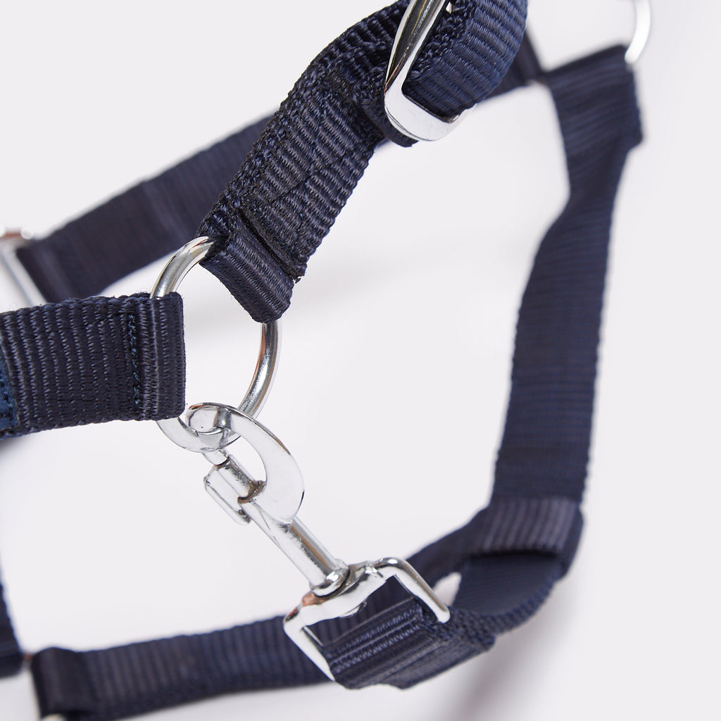 Leadrope