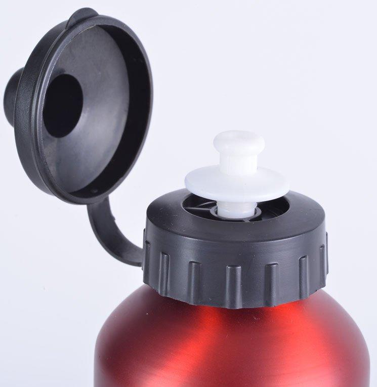 750ml Aluminium Bottle