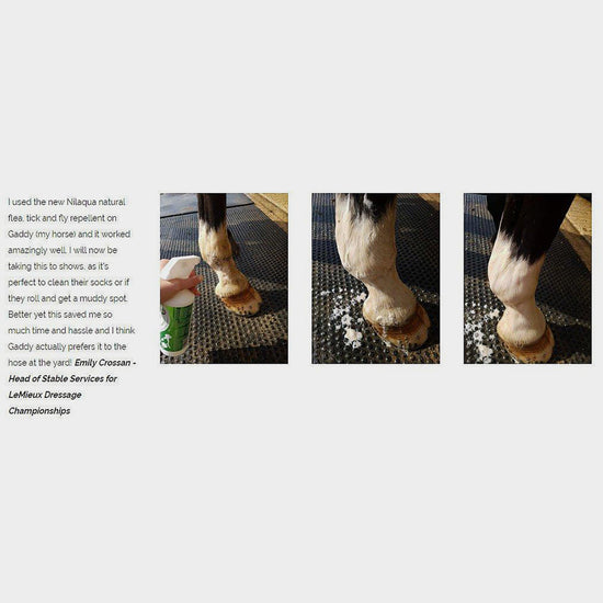 "Towel Off" Pet Shampoo with Natural Insect Repell