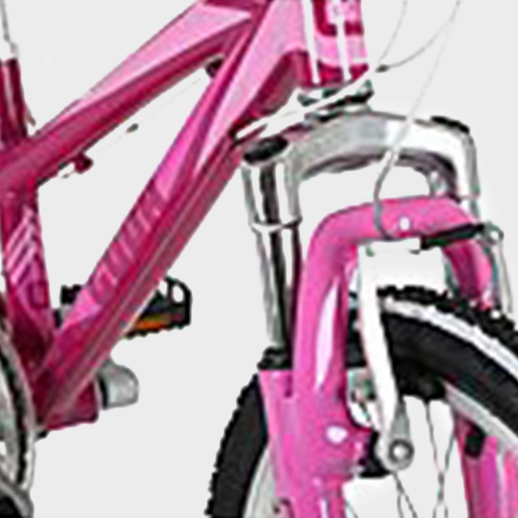 Kinetic 20" Kids' Mountain Bike