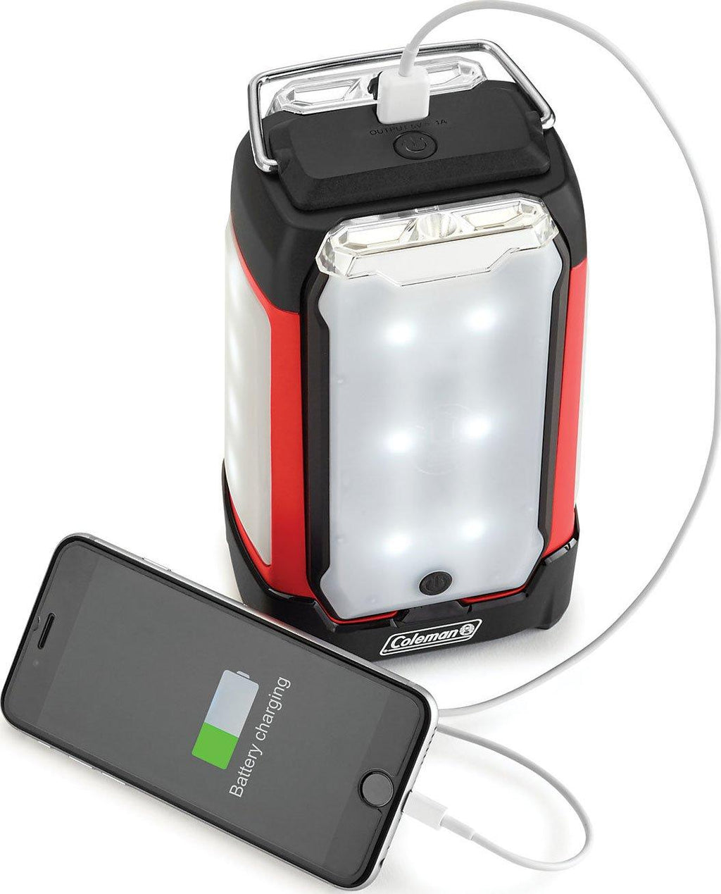 Duo Panel Light Lantern