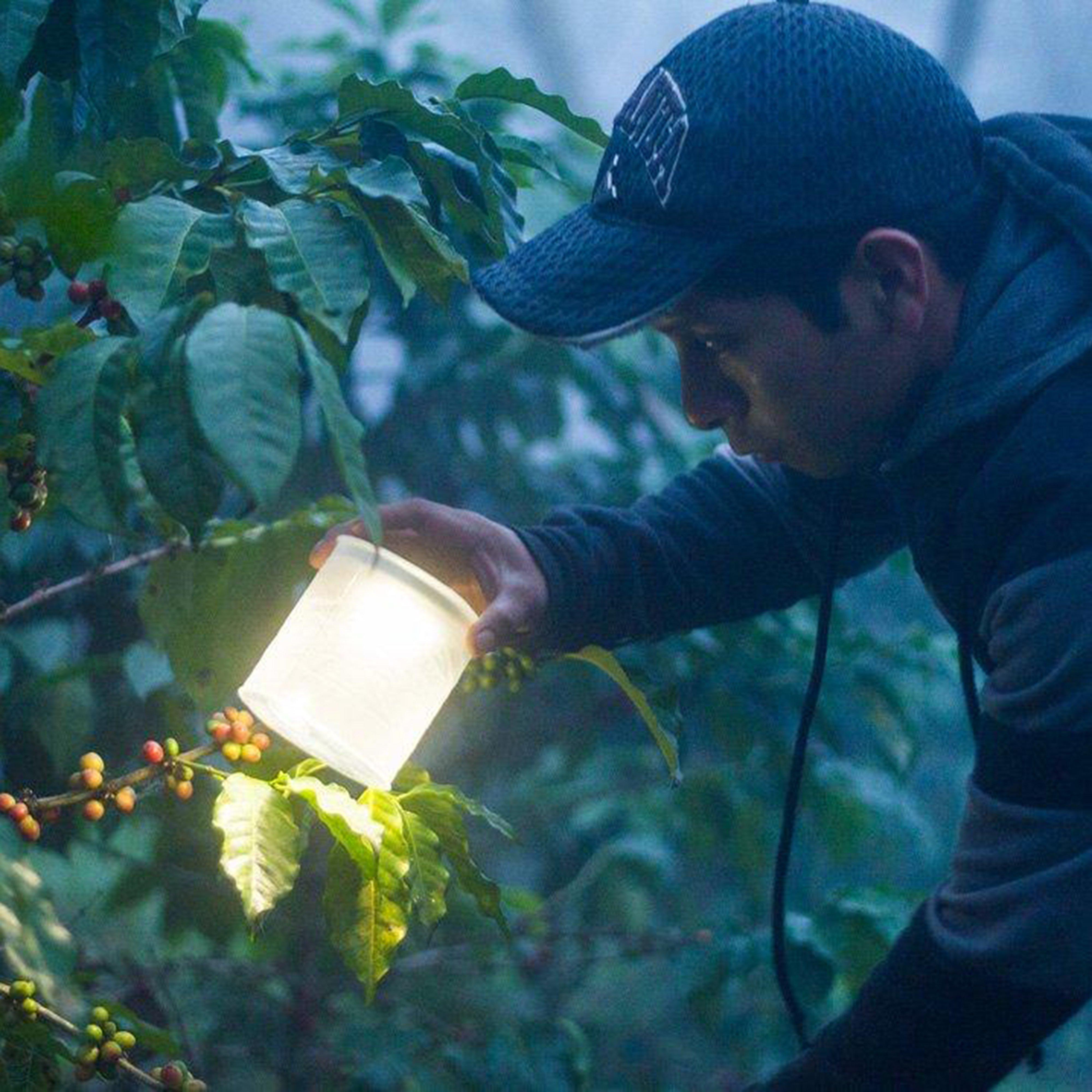 Luci EMRG Inflatable Solar Light