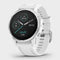 Fēnix 6S Multi Sport GPS Watch