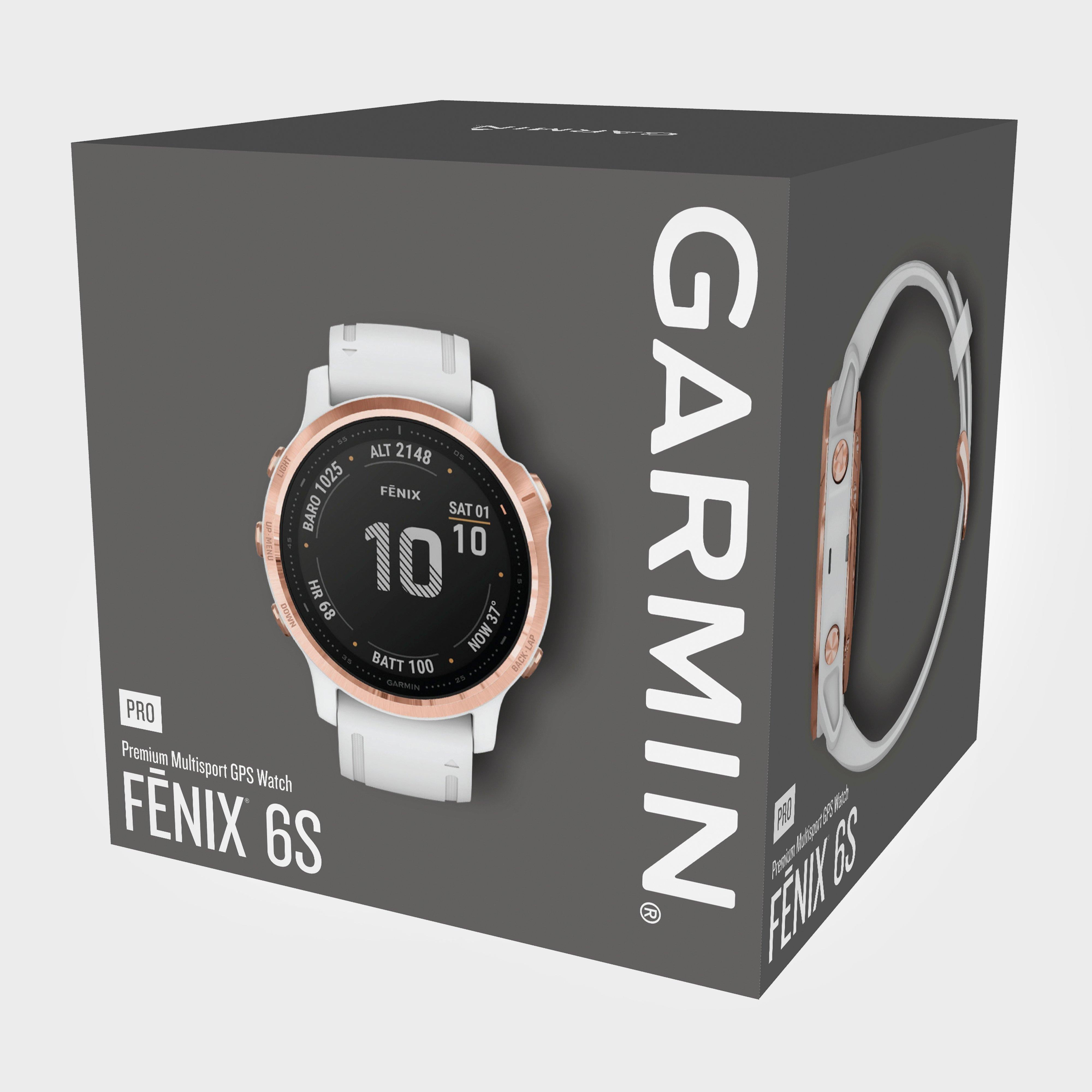 Fēnix 6S Pr