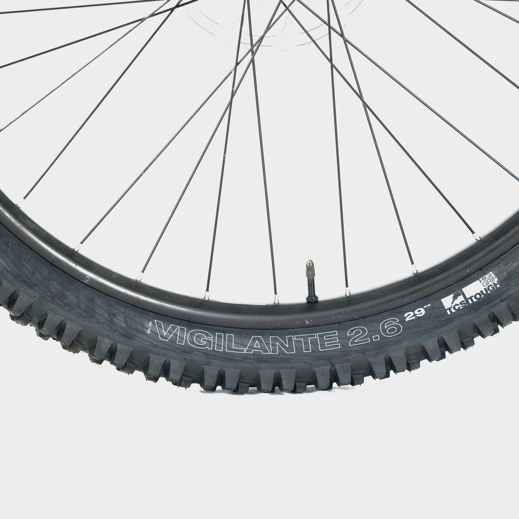 Sentry Enduro Mountain Bike