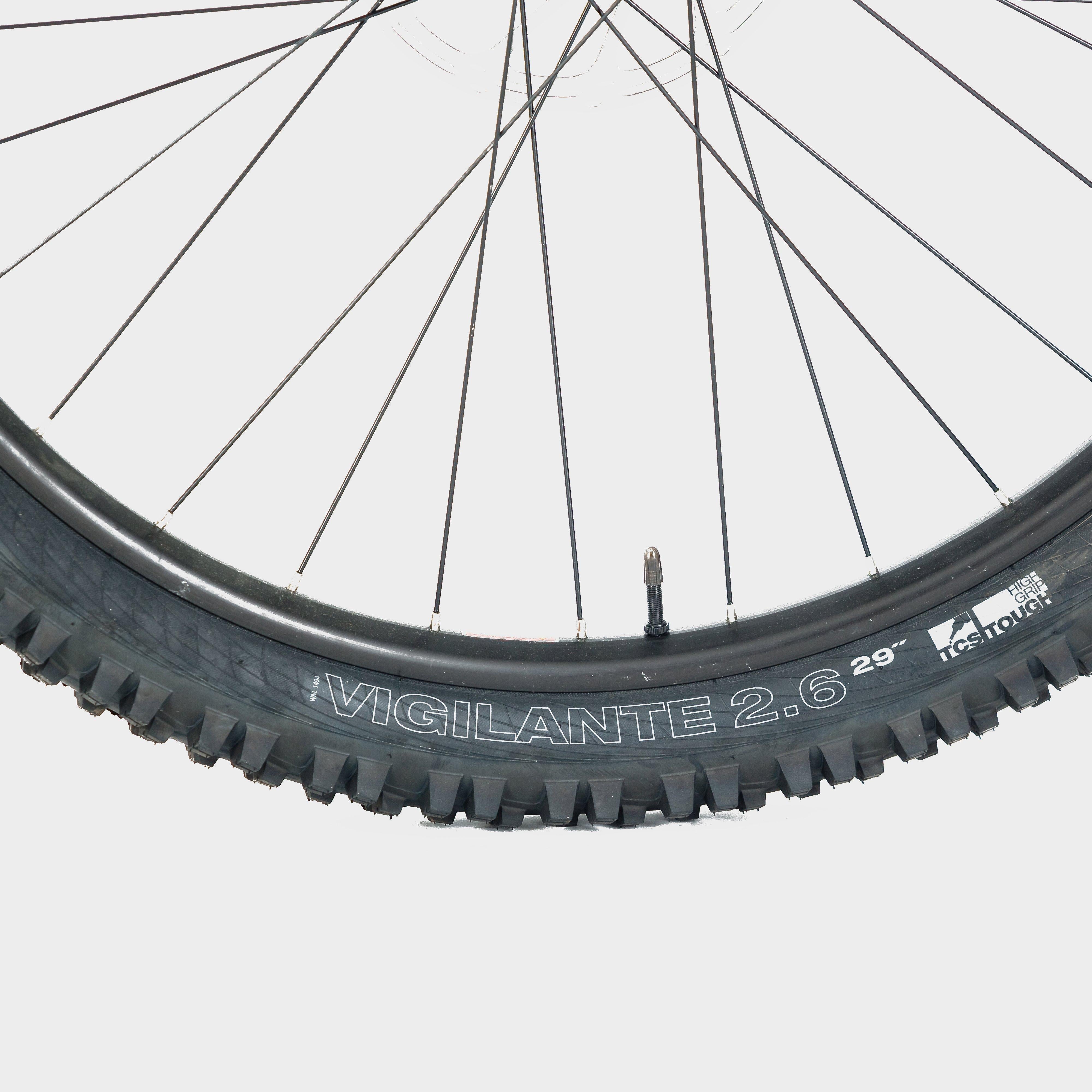 Sentry Enduro Mountain Bike