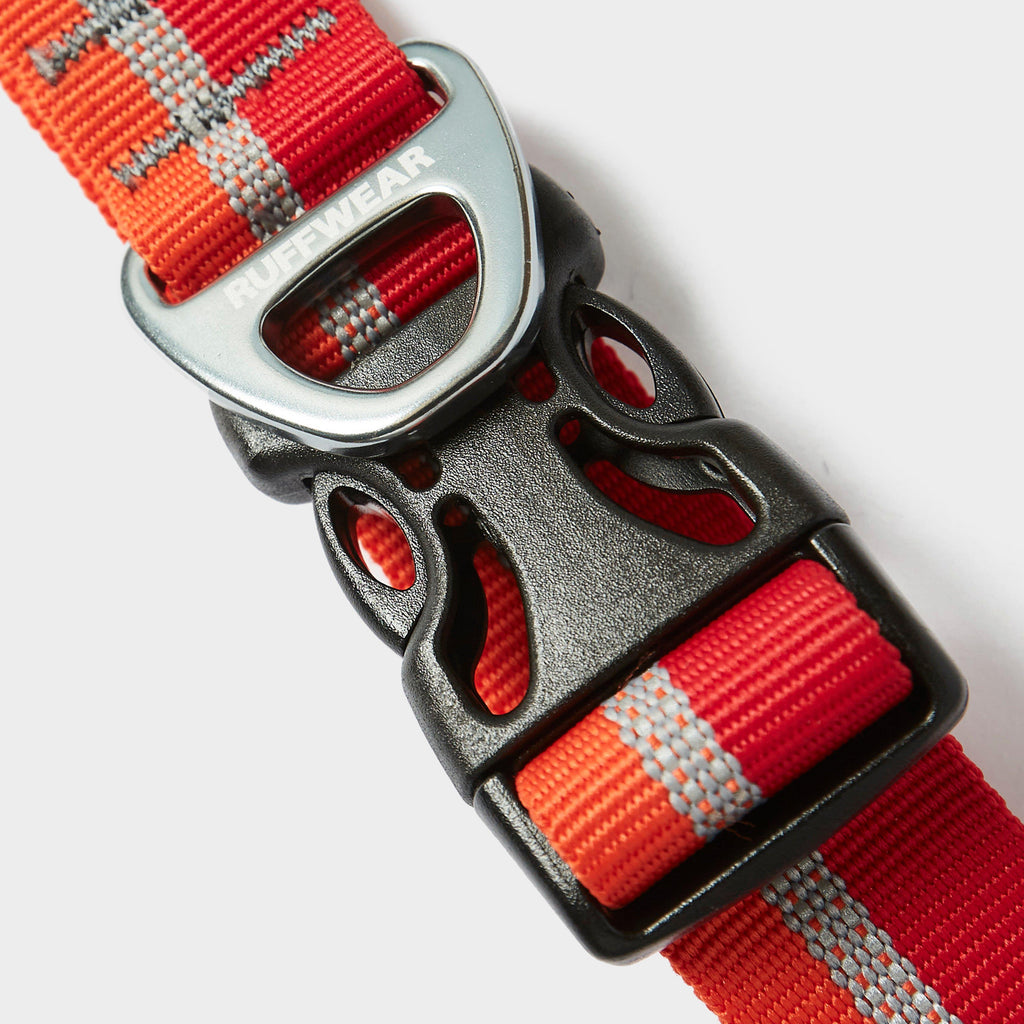 Crag™ Reflective Dog Collar