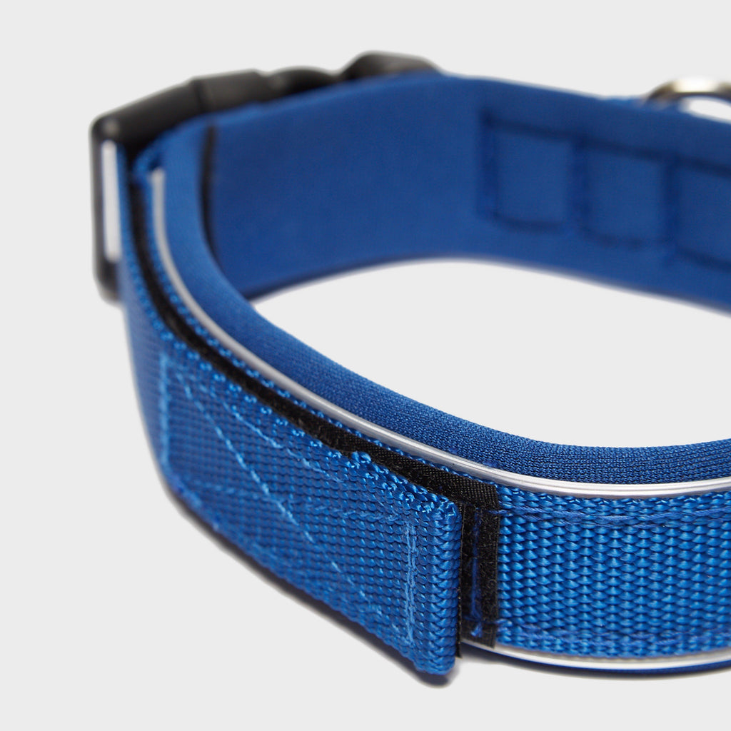 Classic Neo Dog Collar (Medium)