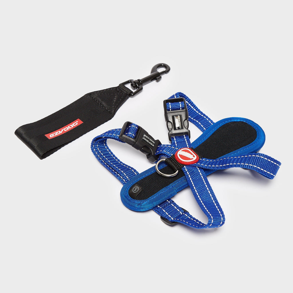 Chest Plate Dog Harness (Small)
