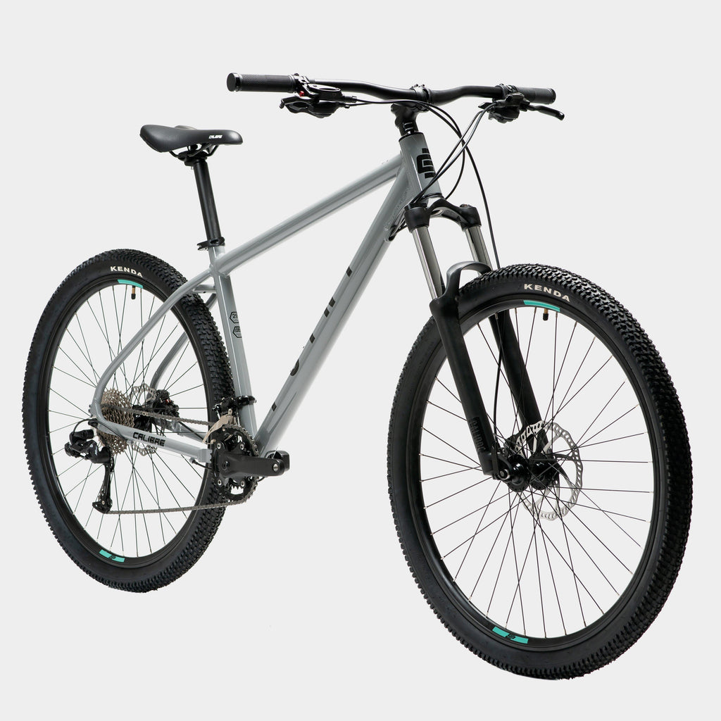 Point 29" Hardtail Mountain Bike