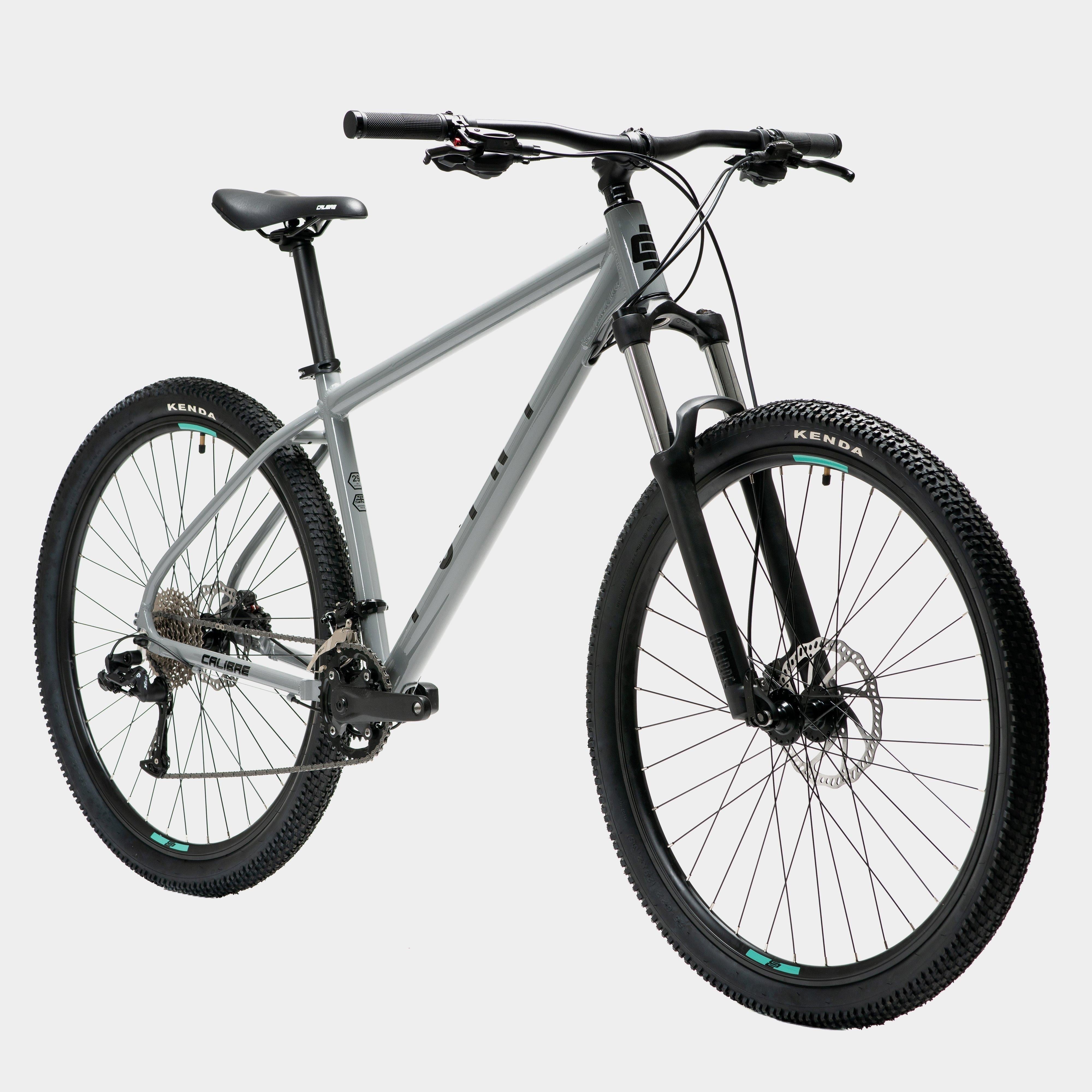 Point 29" Hardtail Mountain Bike