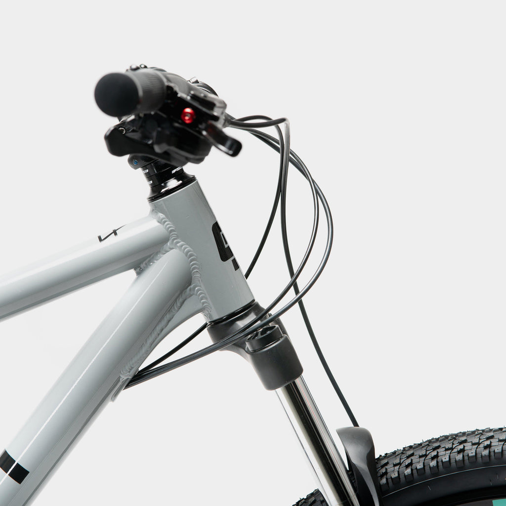 Point 29" Hardtail Mountain Bike